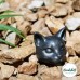 Cat Soaps